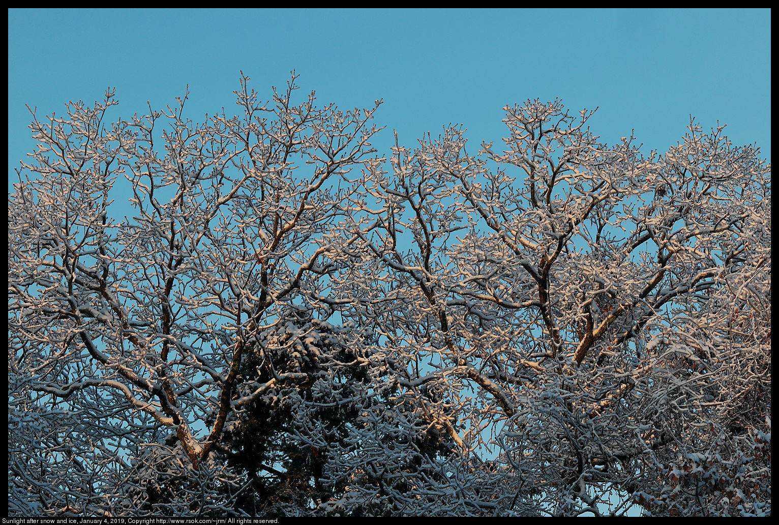 Sunlight after snow and ice, January 4, 2019