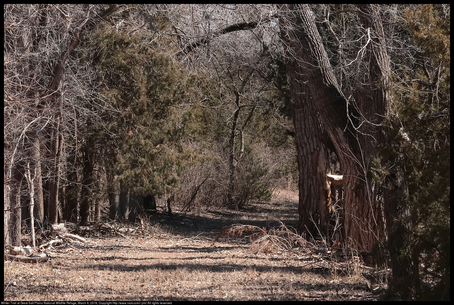 Winter Trail at Great Salt Plains National Wildlife Refuge, March 6, 2019