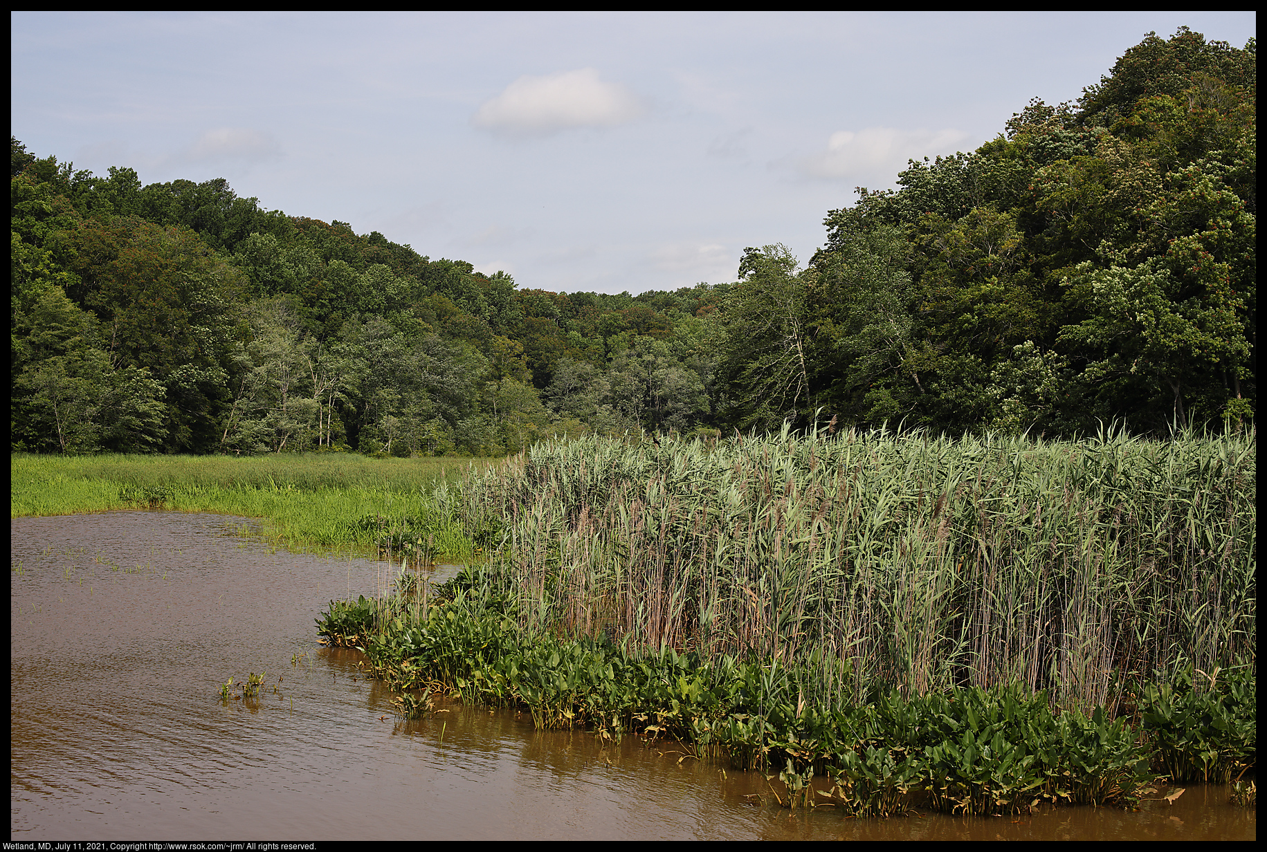 Wetland, MD, July 11, 2021