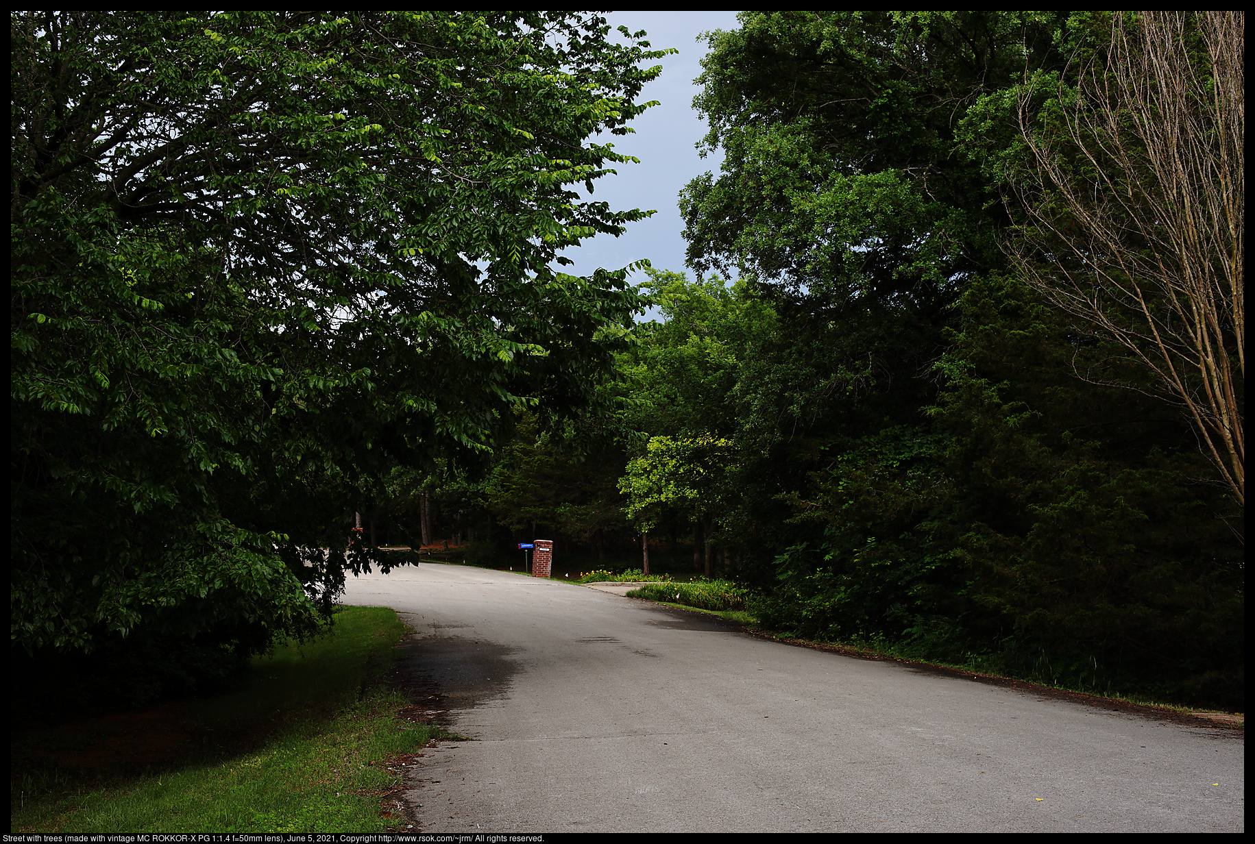 Street with trees (made with vintage MC ROKKOR-X PG 1:1.4 f=50mm lens), June 5, 2021