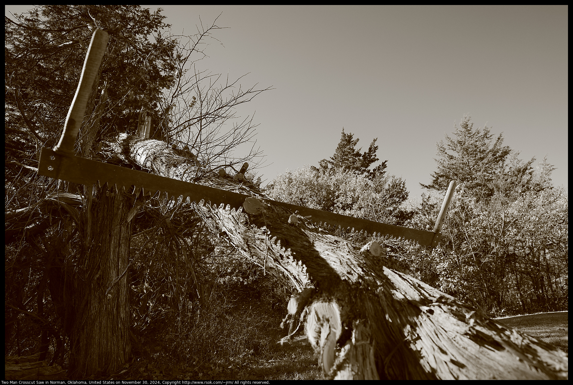 Two Man Crosscut Saw in Norman, Oklahoma, United States on November 30, 2024