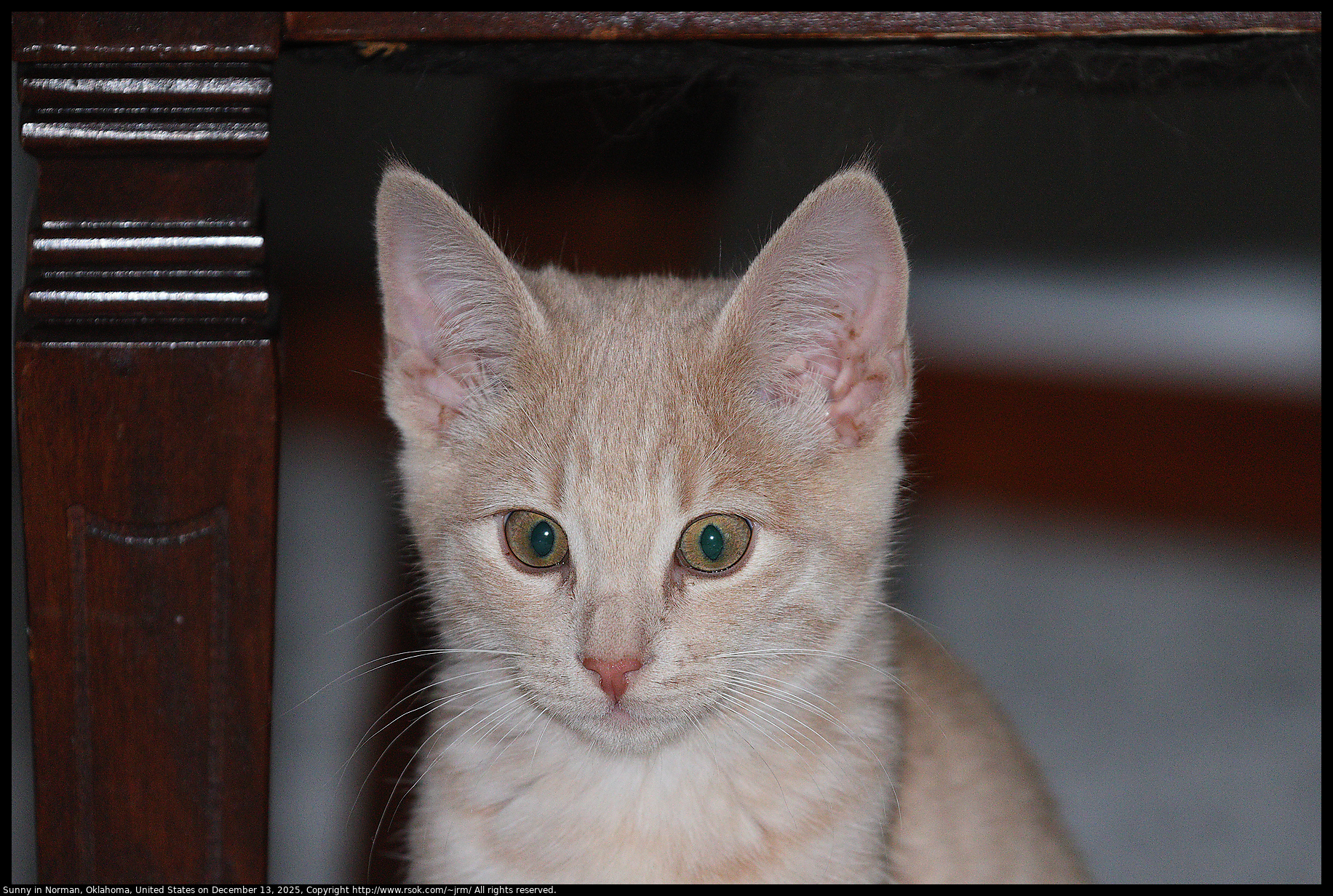 Sunny in Norman, Oklahoma, United States on December 13, 2025