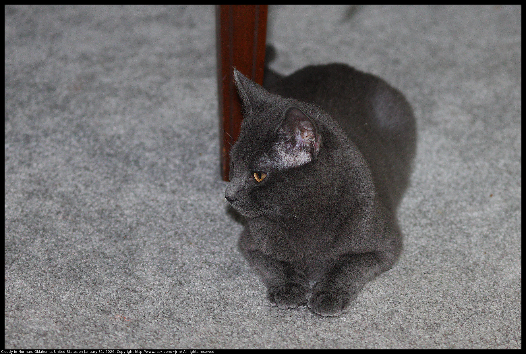 Cloudy in Norman, Oklahoma, United States on January 31, 2026